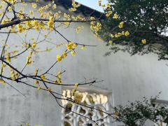-拙政园