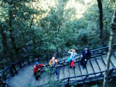 -九龙江国家森林公园