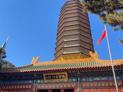 -八大处公园