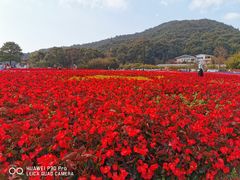 -广州市石门国家森林公园