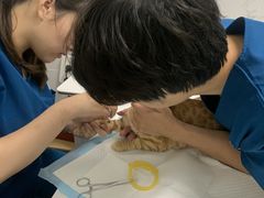 -科道动物医院·急重症中心(万达院)