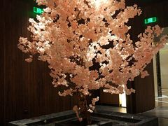 -提香日本料理