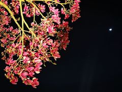 -相门城墙文化休闲景区