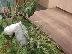 -五星桥原切肥牛火锅(怀德桥店)