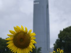 -苏州湾体育公园