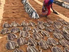 -尼甘布海鲜市场