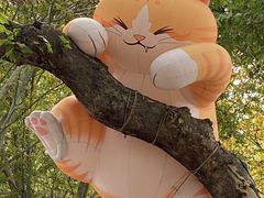 -西安电影制片厂