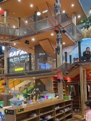 点击看大图 -卡通尼·Safari非洲探索乐园·生日会(金桥国际商业广场店)