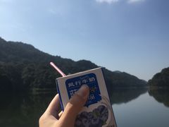 -广州市石门国家森林公园