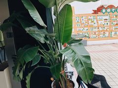 -麻雀咖啡SPARROW COFFEE(十全街店)
