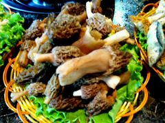 -菌海森林·非遗野生菌火锅(西山区滇池路摩根道店)