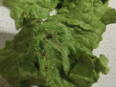 -龍歌自助小火锅(城阳万象汇店)