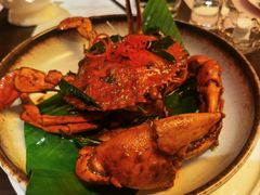 -佛山希尔顿酒店·融誉亚洲美食荟