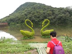 -广州市石门国家森林公园