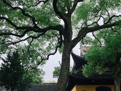 -西园戒幢律寺