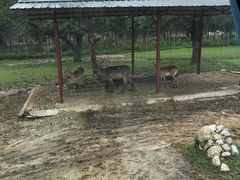 -西安秦岭野生动物园