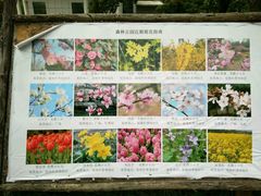 -昆山城市生态森林公园