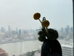 -翡翠36餐厅(浦东香格里拉店)