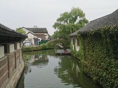 -鲁镇
