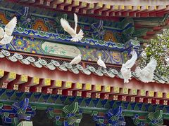 -西安大兴善寺