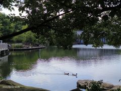 -白马涧龙池景区