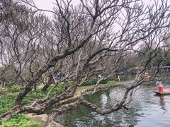 -晓港公园