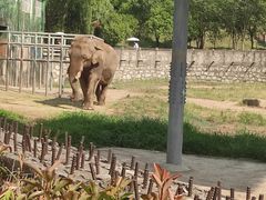 -西安秦岭野生动物园