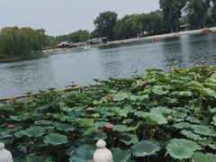 -什刹海