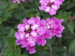 -铁路文化公园