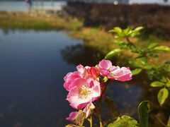 -长广溪湿地公园