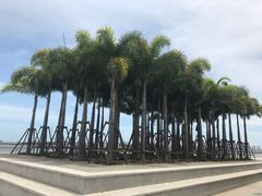 -海沧湾公园