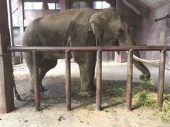 -宿豫区运河湾森林动物园