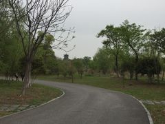 -梁鸿国家湿地公园
