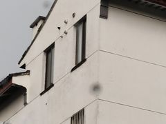 -大市小吃(金鑫花苑店)