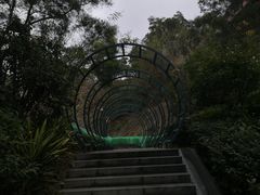 -金鸡山公园