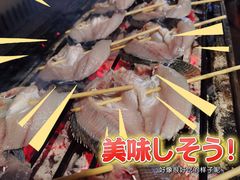 -杨合林啊兰烤鱼