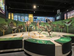 -国家自然博物馆