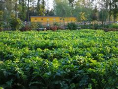 -前小桔亲子创意农场·草莓采摘·露营烧烤