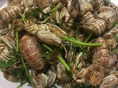 -宾朋海鲜特色美食餐厅·纯手工鲅鱼水饺(兴海路店)