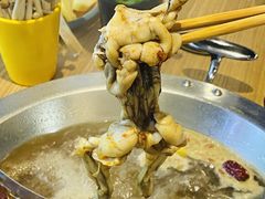 -铭记蛙小仙·活蛙畅享(CBD万达广场店)