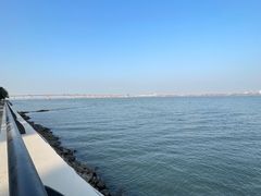 -大湾区中央湿地公园