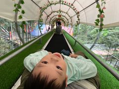 -藏龙百瀑风景区