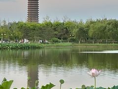 -西海子公园