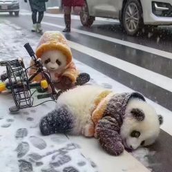 -Dr.林醫生产后修复·配方产康(南京江宁万达店)