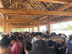 -西双版纳傣族园