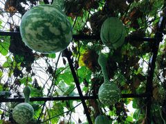 -中国天府农业博览园