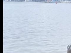 -白天鹅宾馆·流浮阁咖啡厅