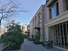 -新江湾城公园