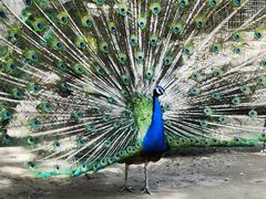 -森林公园(尖草坪区)