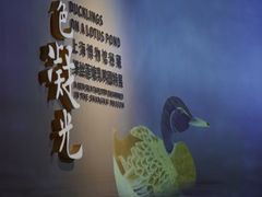 -上海博物馆(人民广场馆)